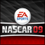 Title picture of NASCAR 09