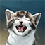 Gamerpic