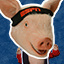 Gamerpic